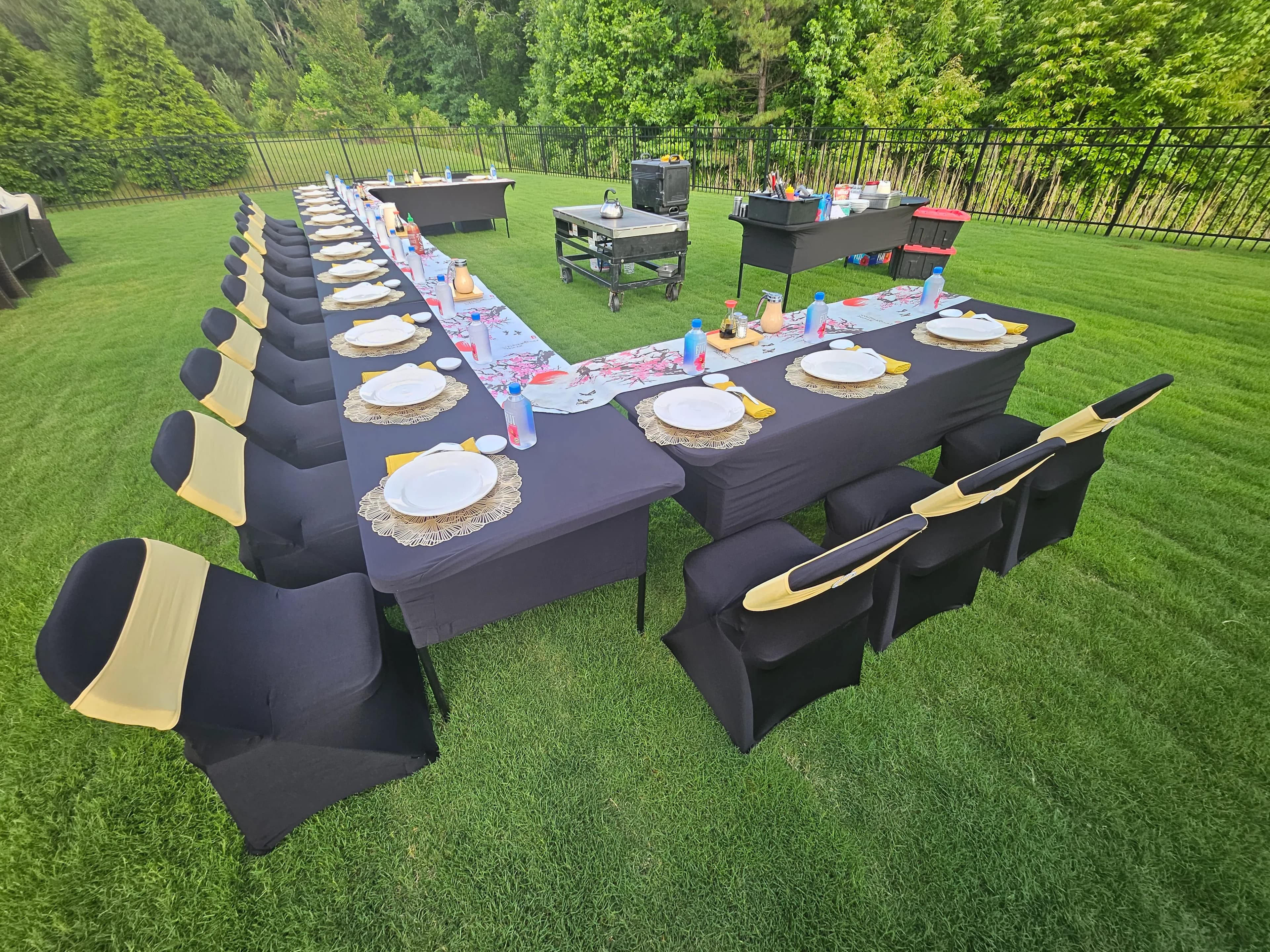 Long lawn table setup